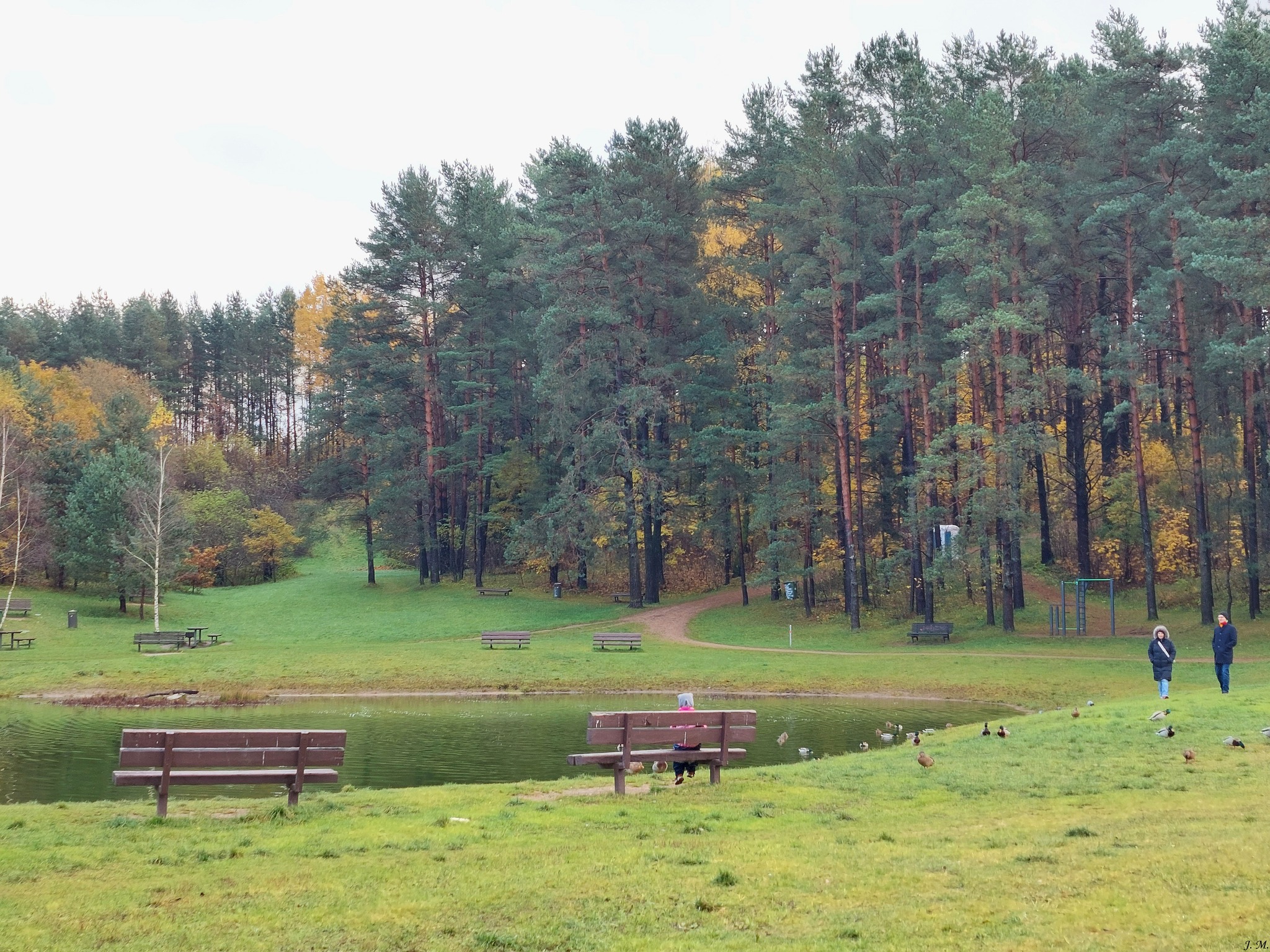 Vilniaus merui – pluoštas klausimų dėl Šeškinės ozo ateities