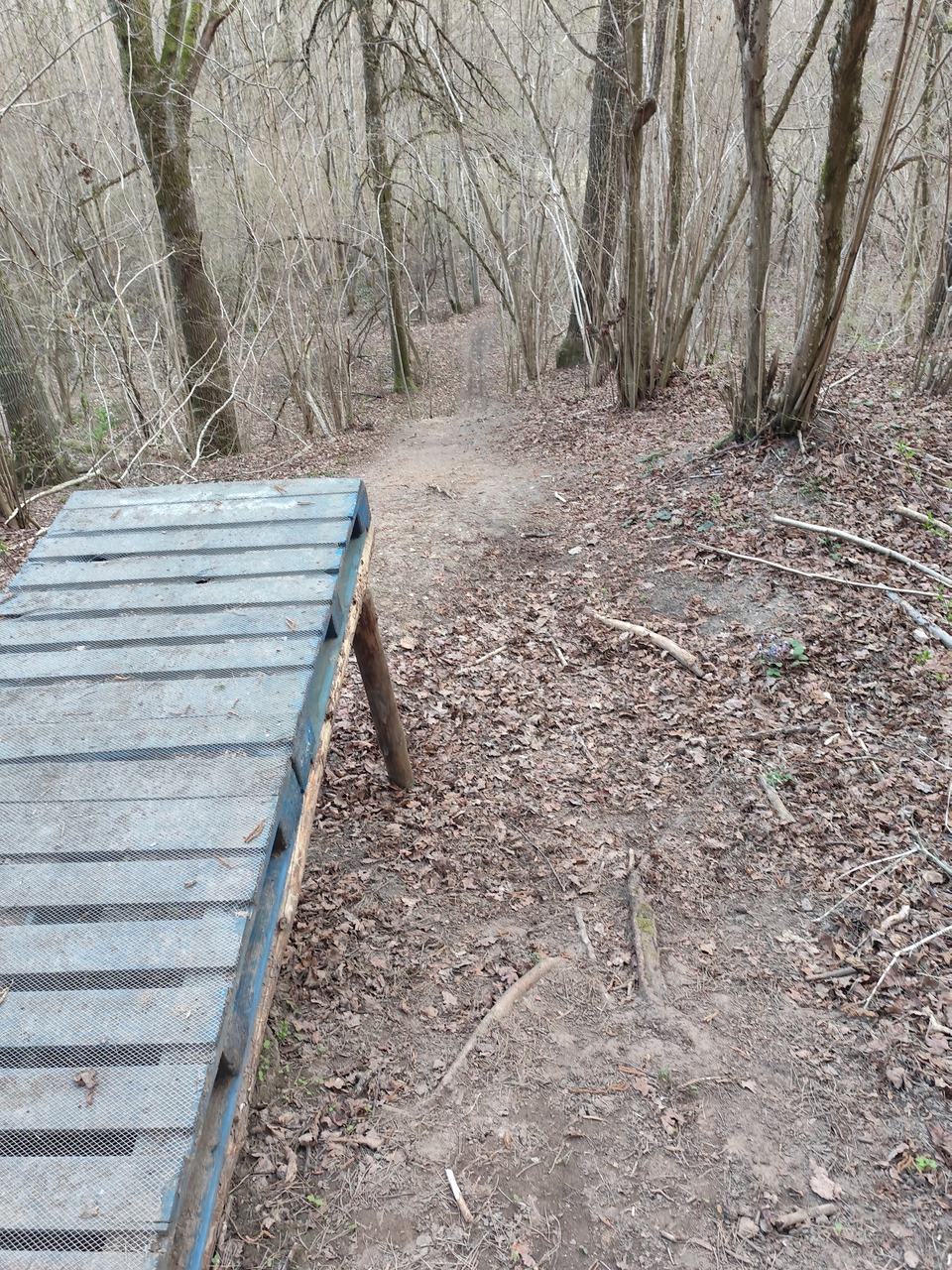 Medinis tramplinas, pastatytas šalia tako draustinyje