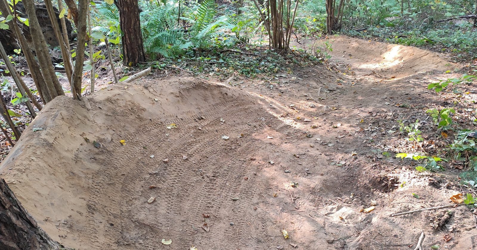 Cedrono aukštupio draustinyje kasamos dviračių trasos – saugokime slėnį kartu