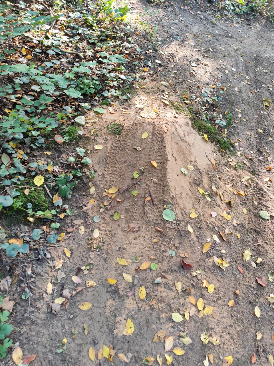 Iš grunto supiltas tramplinas ant tako Cedrono aukštupio draustinyje