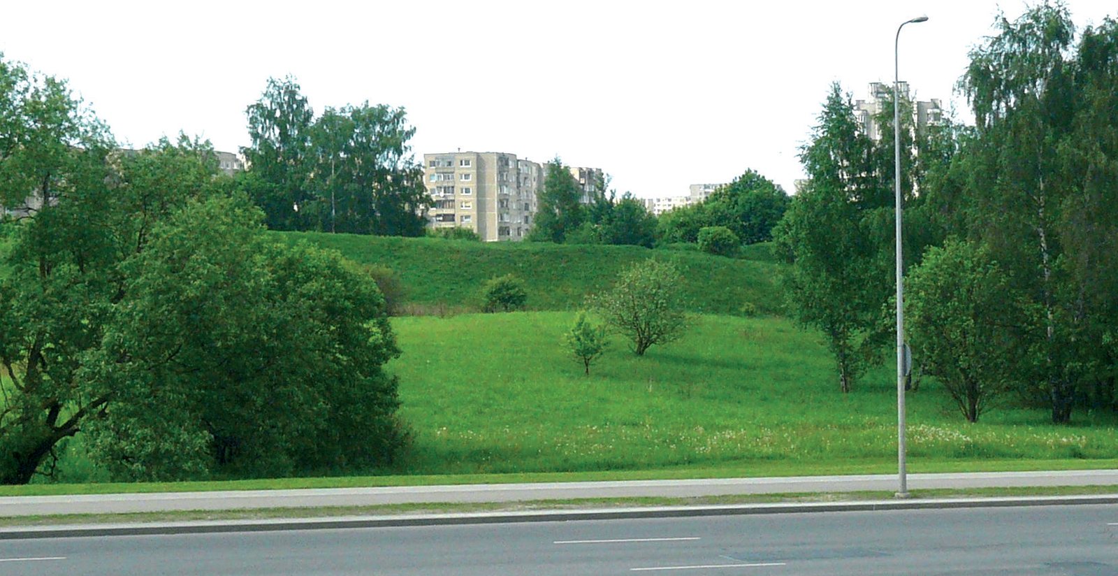 Šeškinės ozo fragmentas 2010 m. – atviras kalvagūbris, šiandien apaugęs krūmais