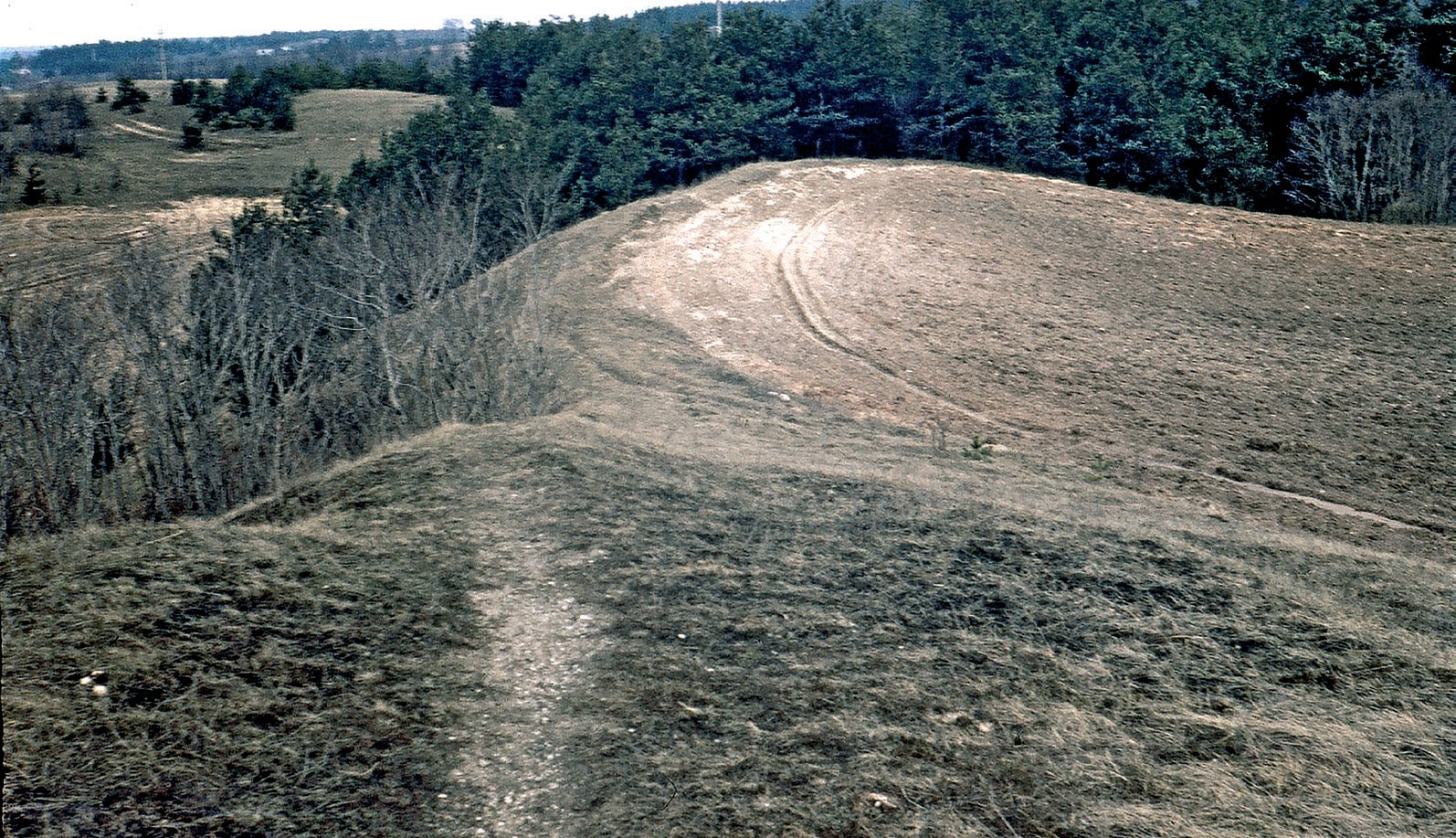 Šeškinės ozo ketera 1972 m. – vingiuotas kalvagūbris ties Vilniaus Šeškine