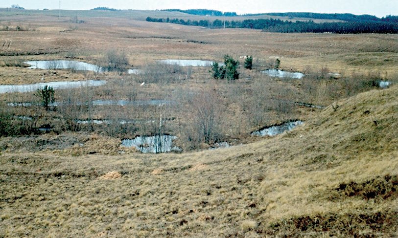 Šeškinės ozo pašonėje esanti žemapelkė su ežeriukais, 1972 m.